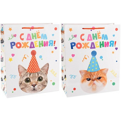Пакет подарочный, Котенок в колпачке, Лаковый, 41*31*12 см, 1 шт. Пакет подарочный, Котенок в колпачке, Лаковый, 41*31*12 см, 1 шт.