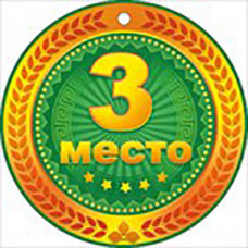 Медаль металлическая 3 место